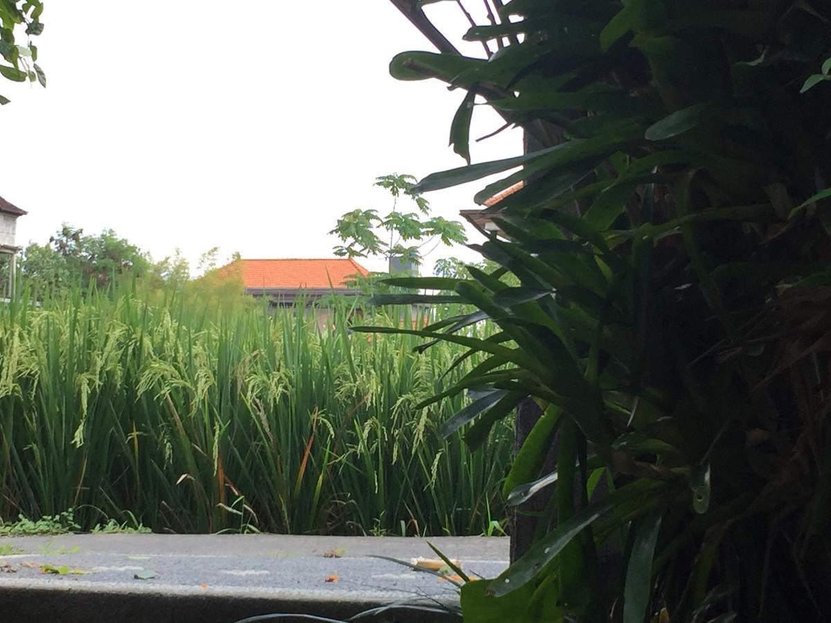 Appartamento Depong House Ubud Esterno foto